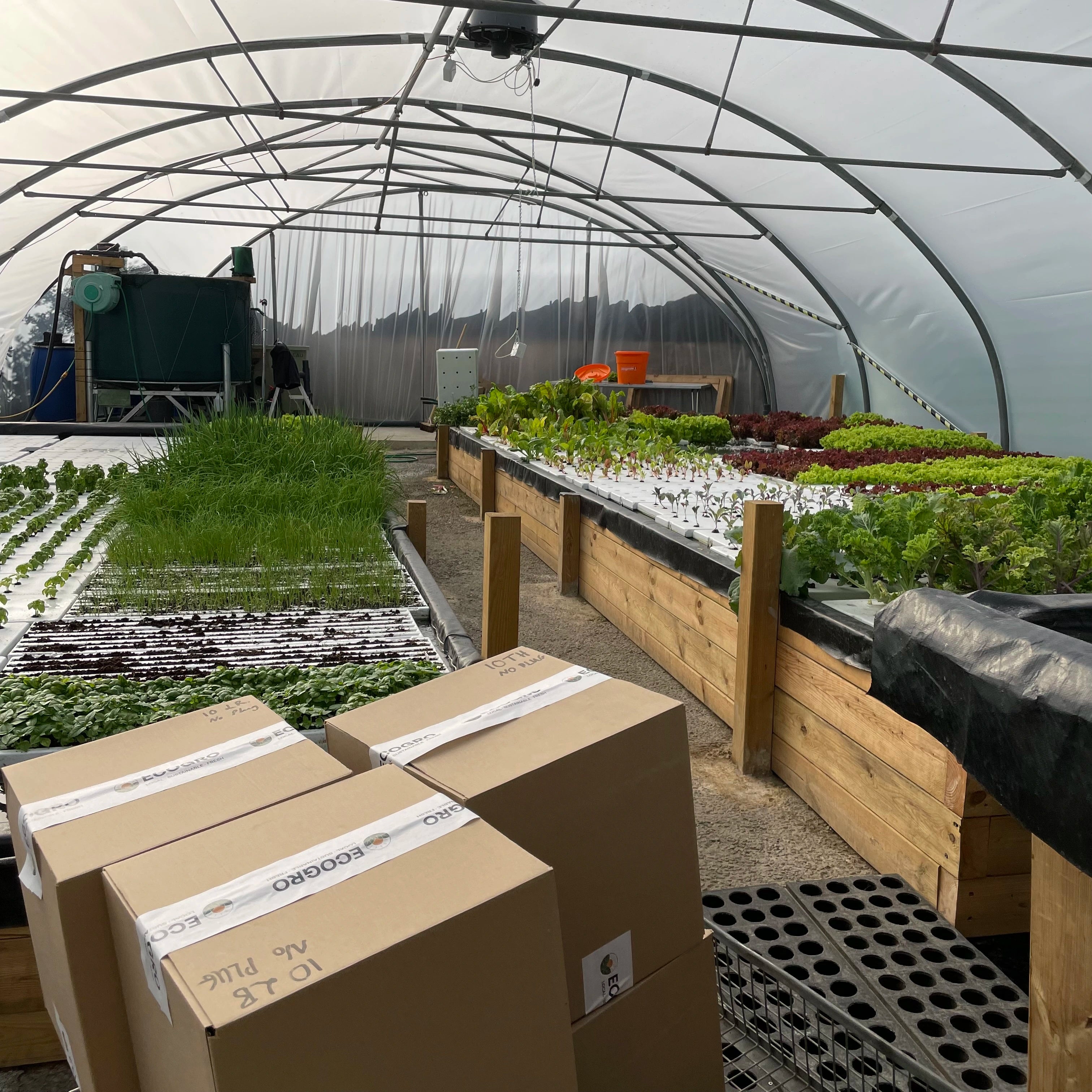 How do we grow our food? – EcoGro Farm